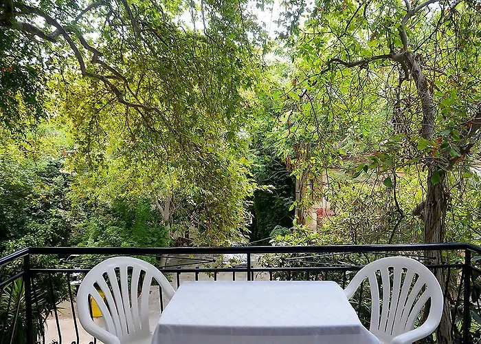 酒店 卡思奇酒店 2*